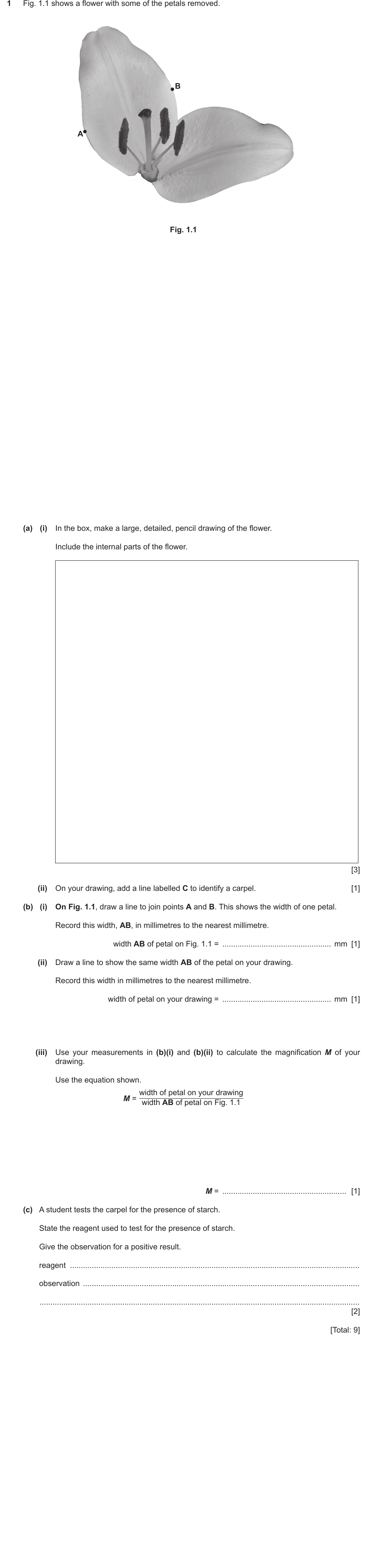 IGCSE 0654 March 2022 Paper 62 Question 1 — Reproduction in flowering plants