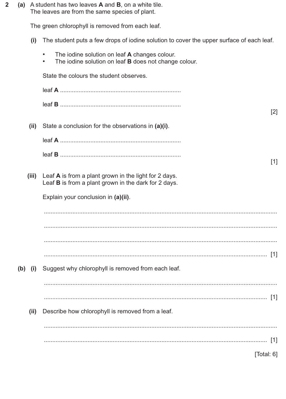 IGCSE 0654 March 2025 Paper 62 Question 2 — Photosynthesis