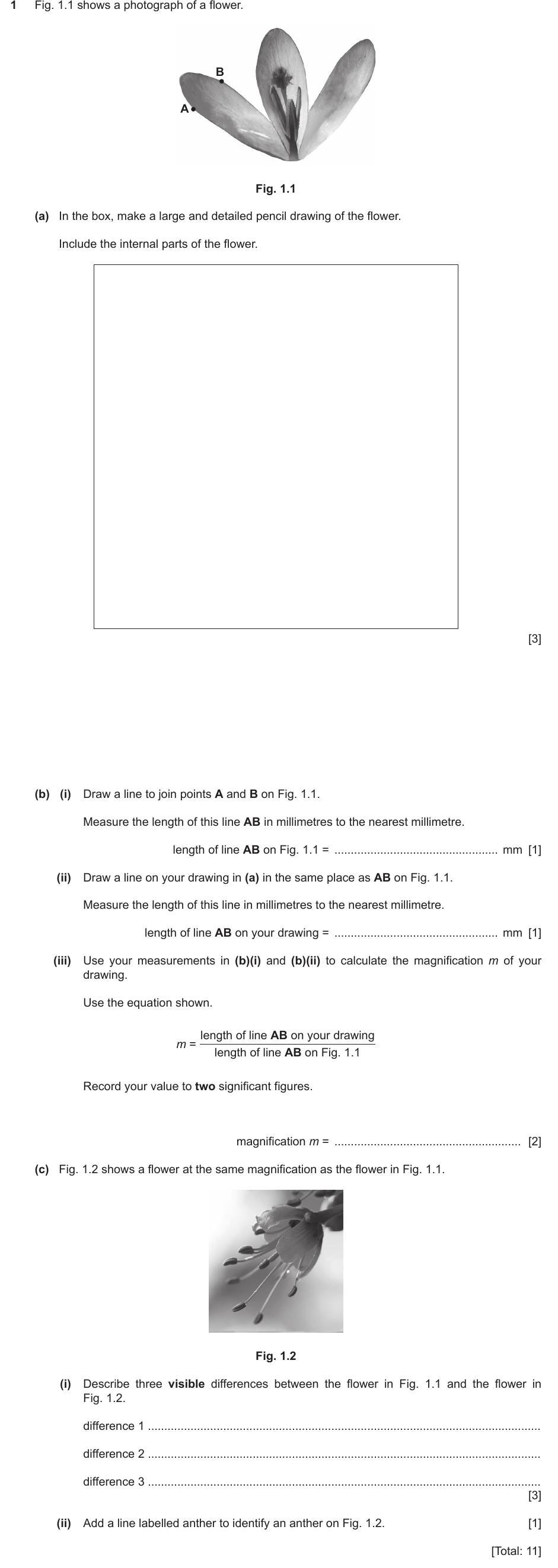 IGCSE 0654 May/June 2023 Paper 63 Question 1 — Reproduction in flowering plants
