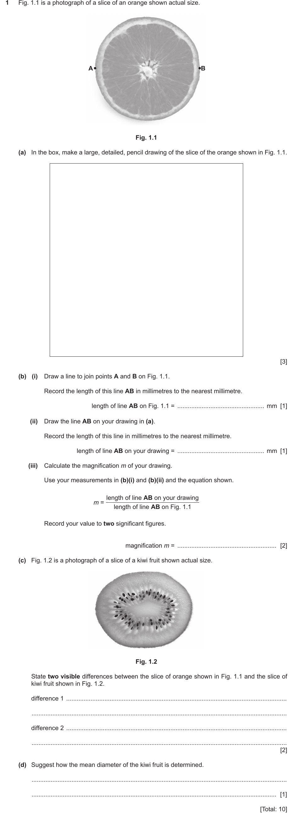 IGCSE 0654 May/June 2024 Paper 61 Question 1 — Magnification & size of specimens
