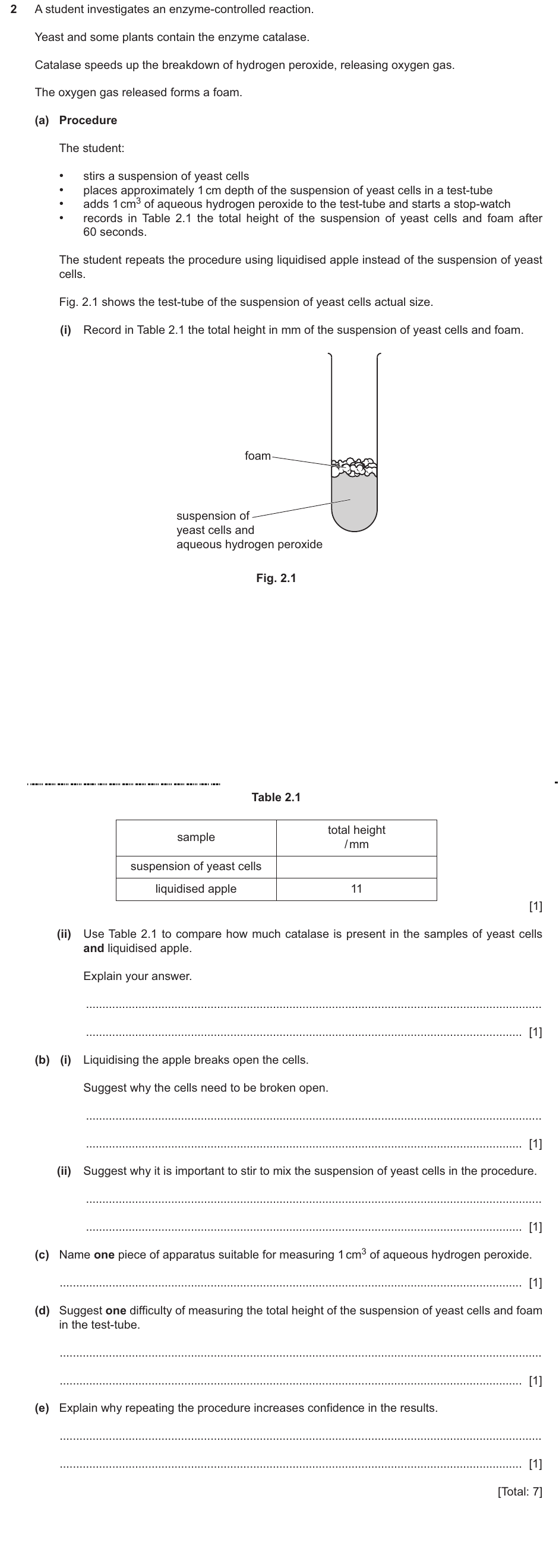 IGCSE 0654 May/June 2025 Paper 61 Question 2 — Magnification & size of specimens