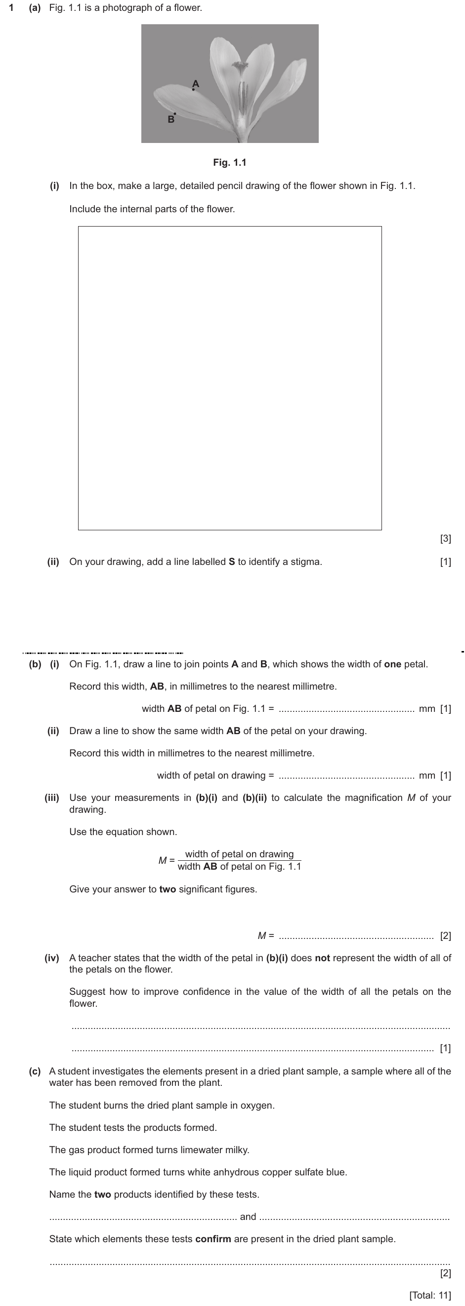 IGCSE 0654 May/June 2025 Paper 62 Question 1 — Reproduction in flowering plants