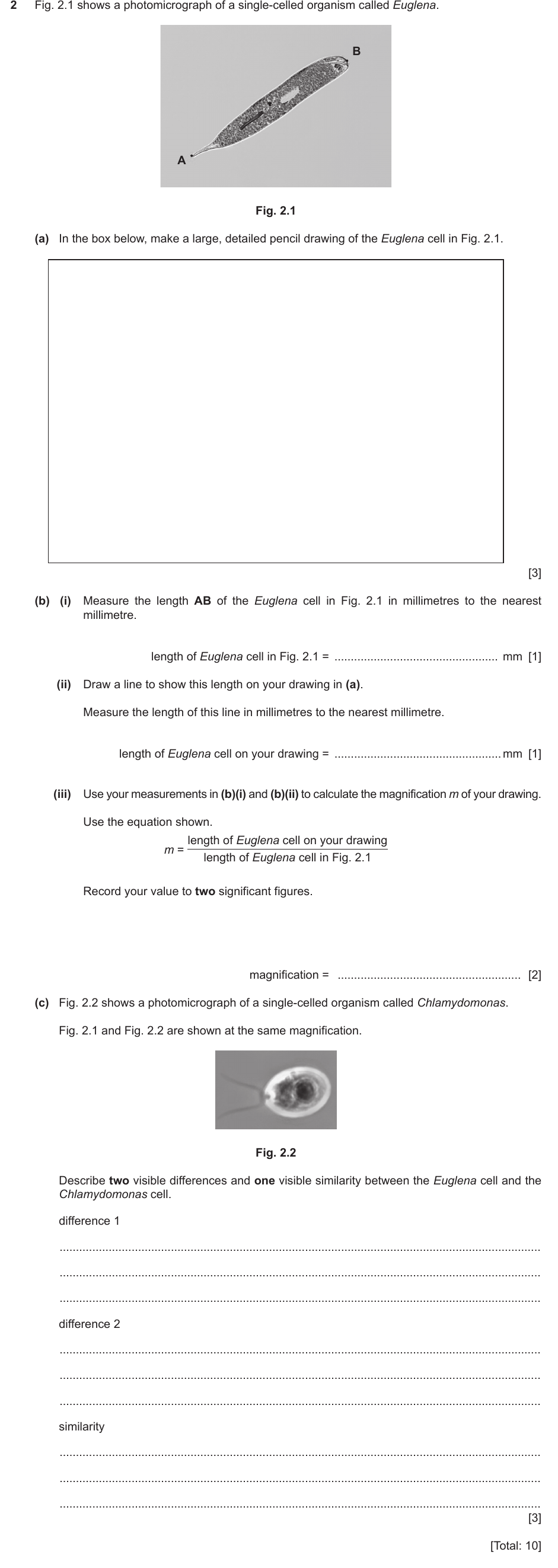 IGCSE 0654 Oct/Nov 2023 Paper 61 Question 2 — Magnification & size of specimens