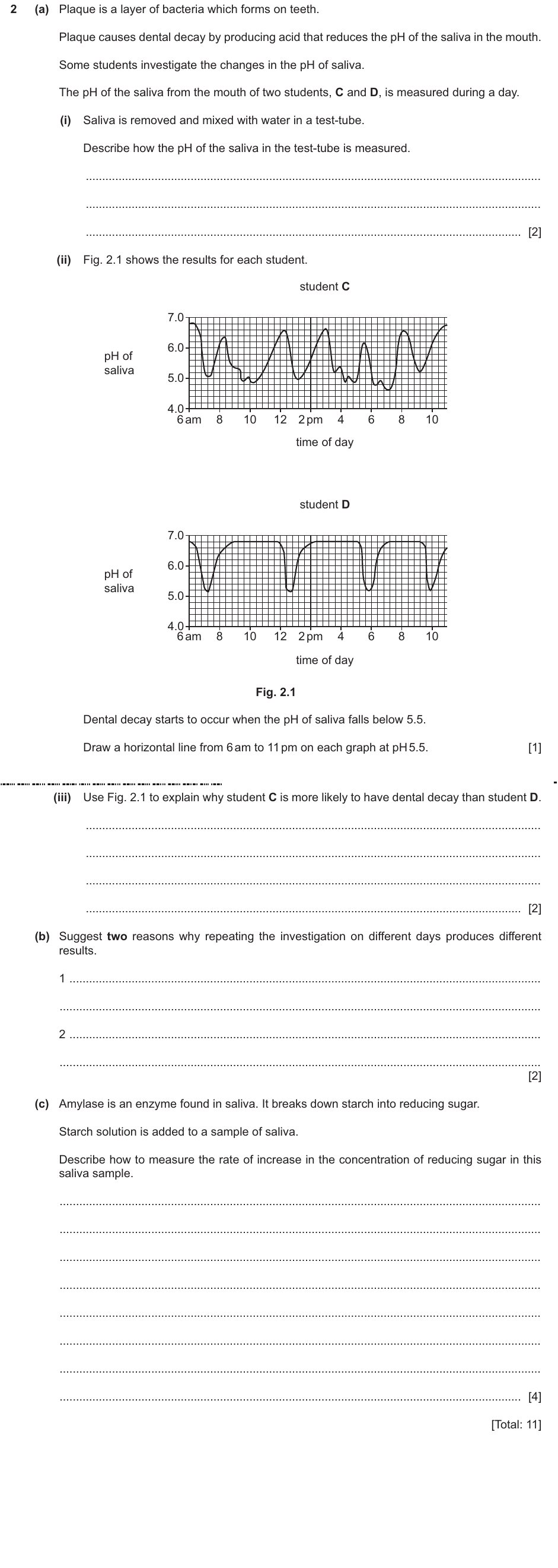IGCSE 0654 Oct/Nov 2024 Paper 62 Question 2 — Enzyme action