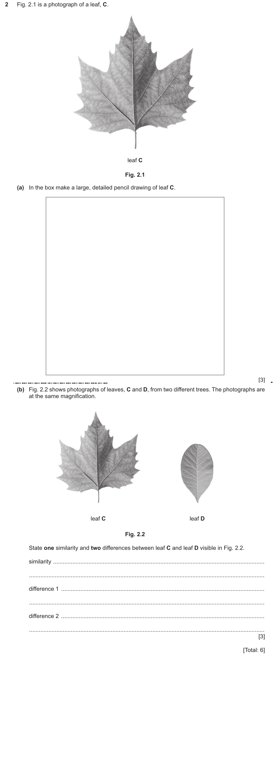 IGCSE 0654 Oct/Nov 2025 Paper 61 Question 2 — Magnification & size of specimens