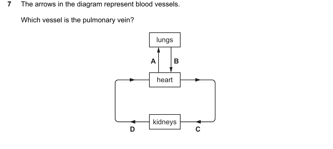IGCSE 0654 March 2023 Paper 12 Question 7 — Blood vessels