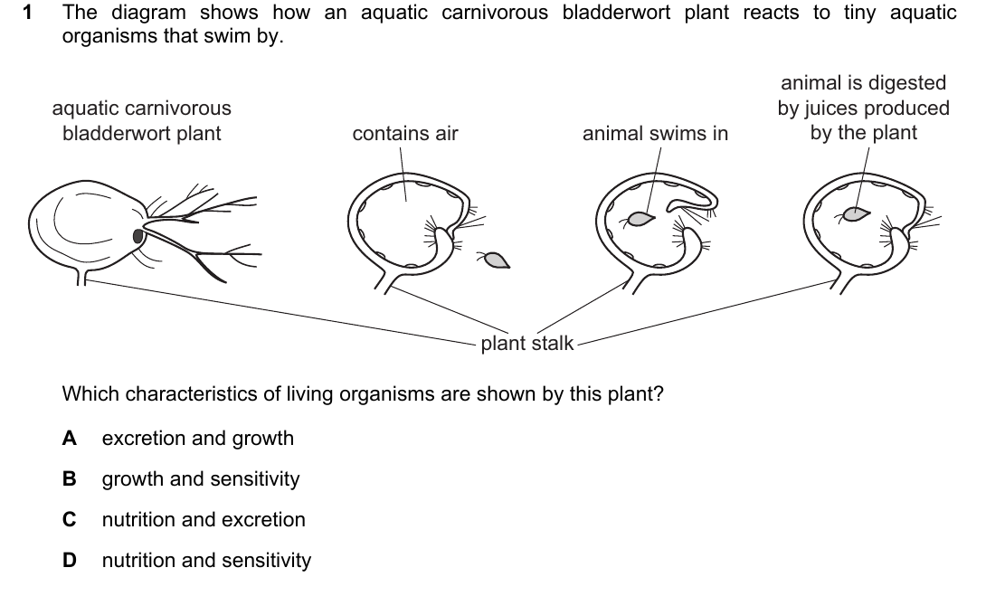 IGCSE 0654 March 2023 Paper 22 Question 1 — Excretion & the kidney