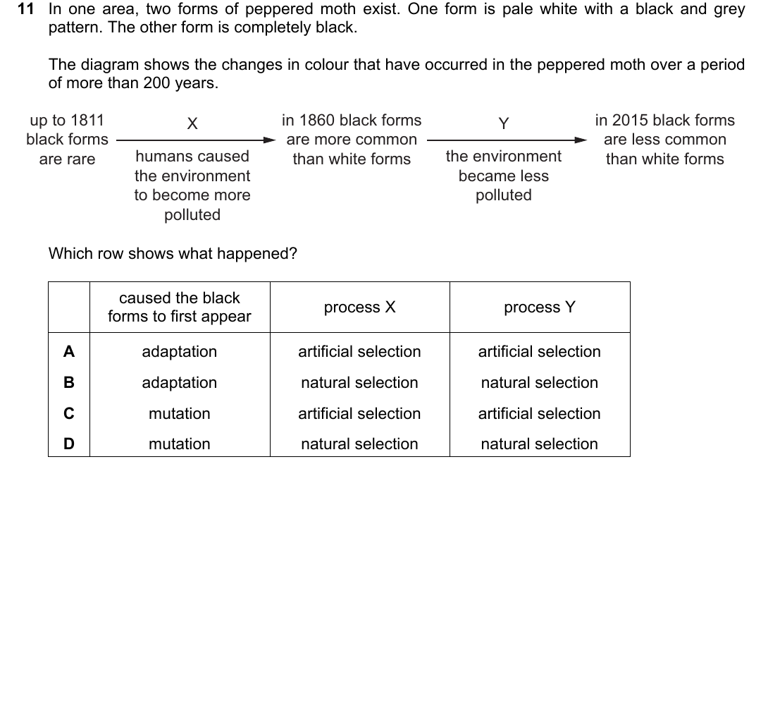 IGCSE 0654 March 2023 Paper 22 Question 11 — Natural selection & evolution