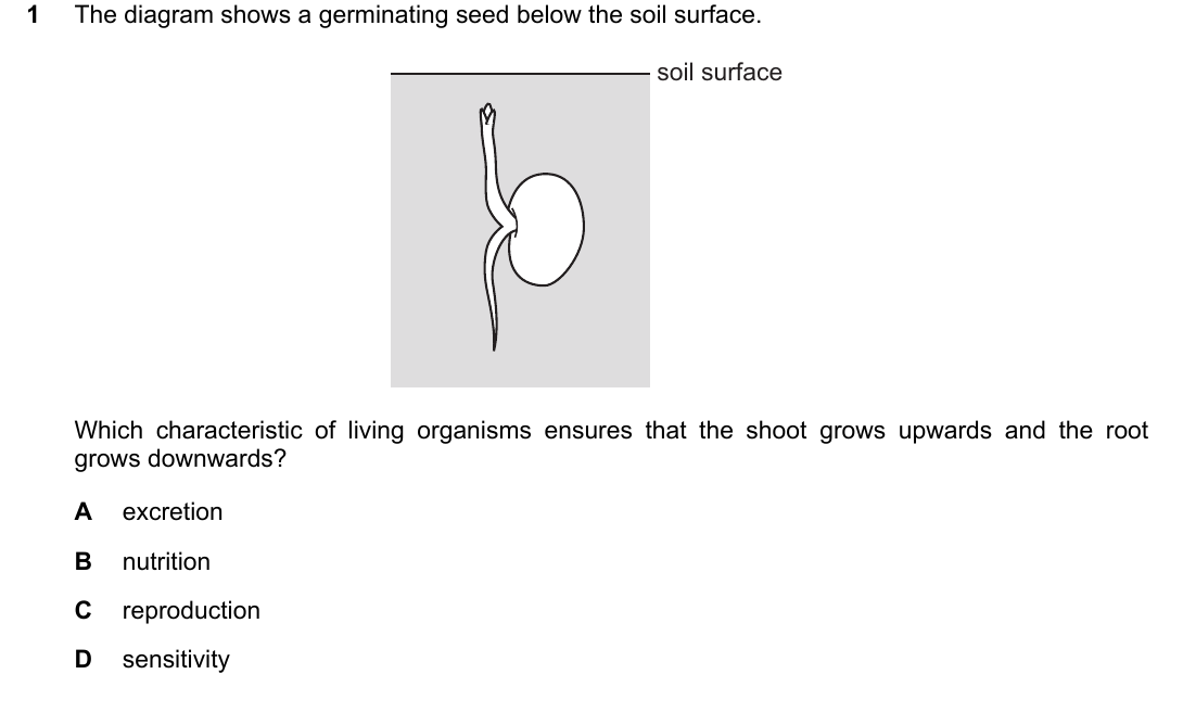 IGCSE 0654 March 2024 Paper 12 Question 1 — Plant tropisms