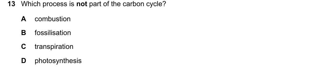 IGCSE 0654 March 2024 Paper 12 Question 13 — Carbon cycle