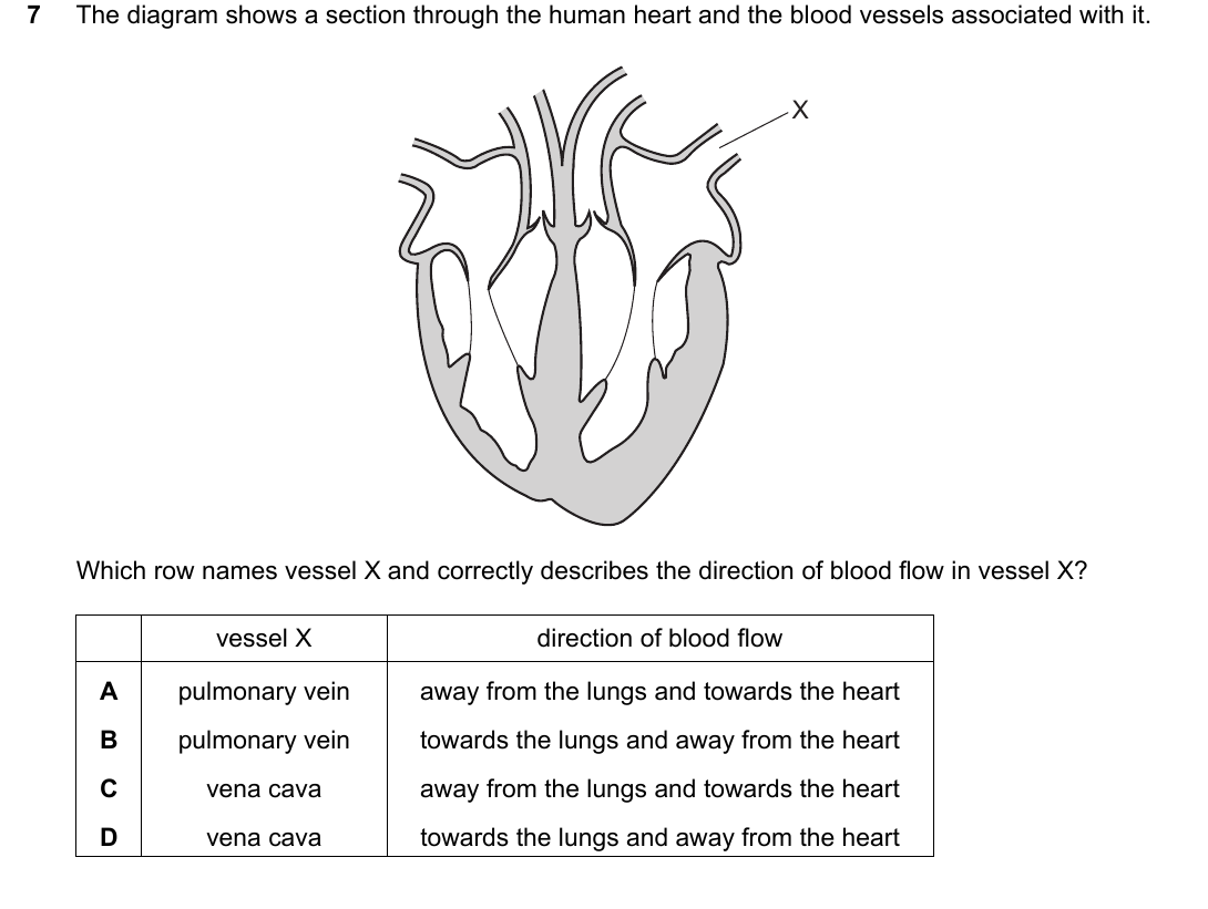 IGCSE 0654 March 2024 Paper 12 Question 7 — Blood vessels