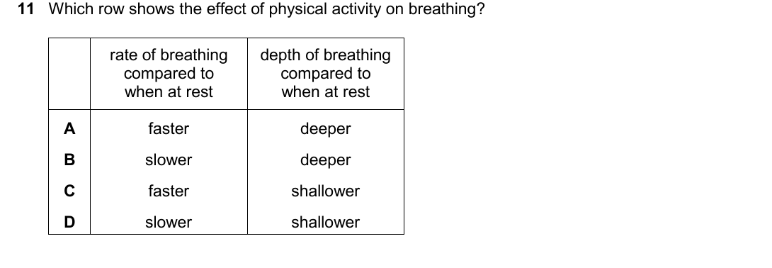 IGCSE 0654 March 2025 Paper 12 Question 11 — Gas exchange in humans