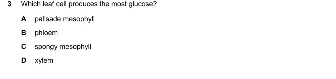 IGCSE 0654 March 2025 Paper 12 Question 3 — Leaf structure