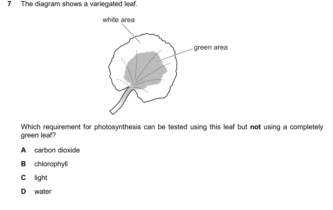 IGCSE 0654 March 2025 Paper 12 Question 7 — Photosynthesis