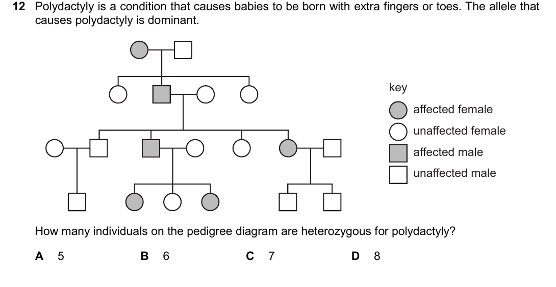 IGCSE 0654 March 2025 Paper 22 Question 12 — Chromosomes, genes & DNA