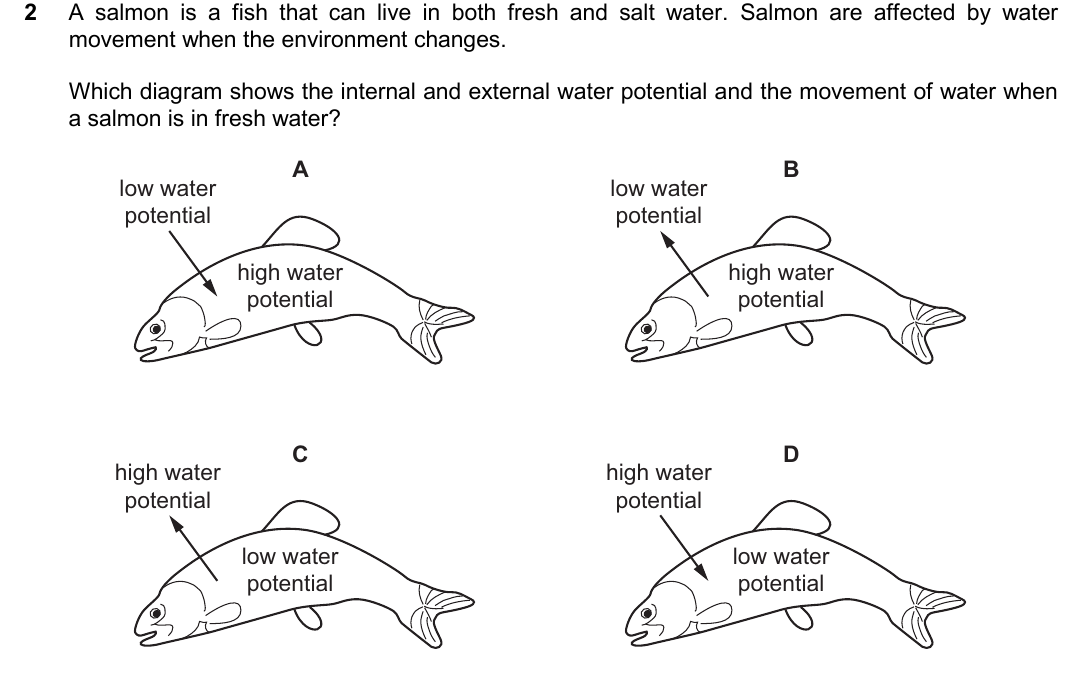 IGCSE 0654 March 2025 Paper 22 Question 2 — Osmosis