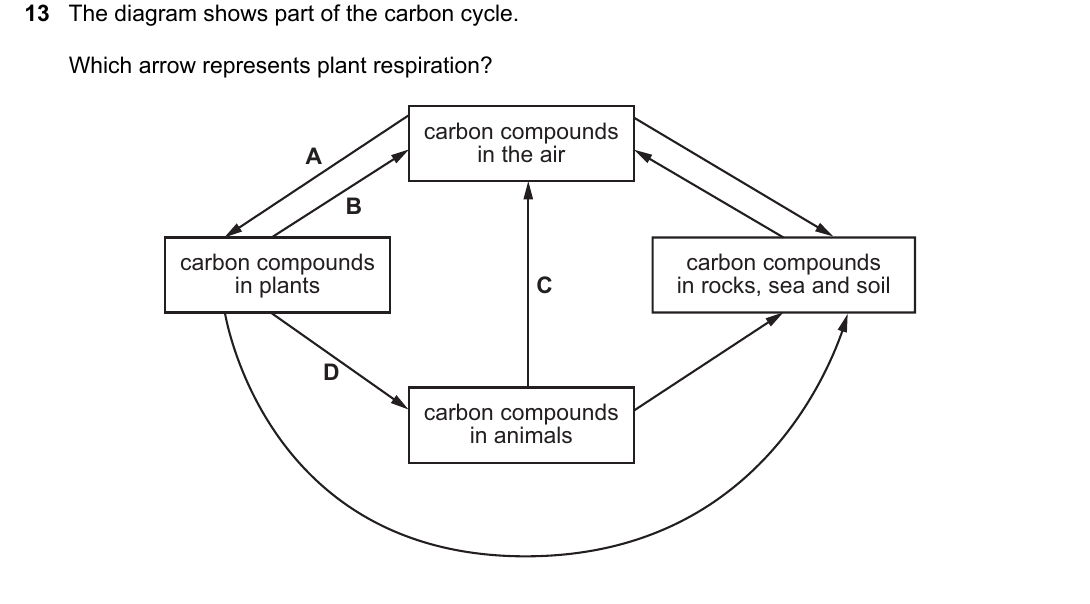 IGCSE 0654 May/June 2022 Paper 11 Question 13 — Carbon cycle