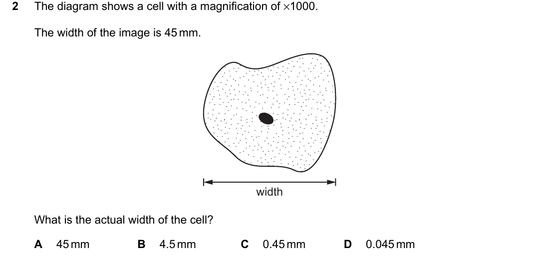 IGCSE 0654 May/June 2023 Paper 11 Question 2 — Magnification & size of specimens