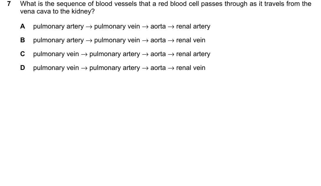 IGCSE 0654 May/June 2023 Paper 11 Question 7 — Blood vessels