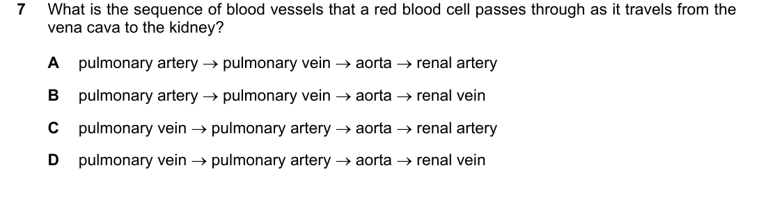 IGCSE 0654 May/June 2023 Paper 21 Question 7 — Blood vessels
