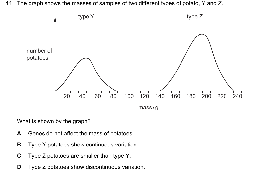 IGCSE 0654 May/June 2024 Paper 11 Question 11 — Variation