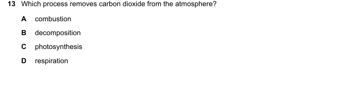 IGCSE 0654 May/June 2024 Paper 11 Question 13 — Photosynthesis