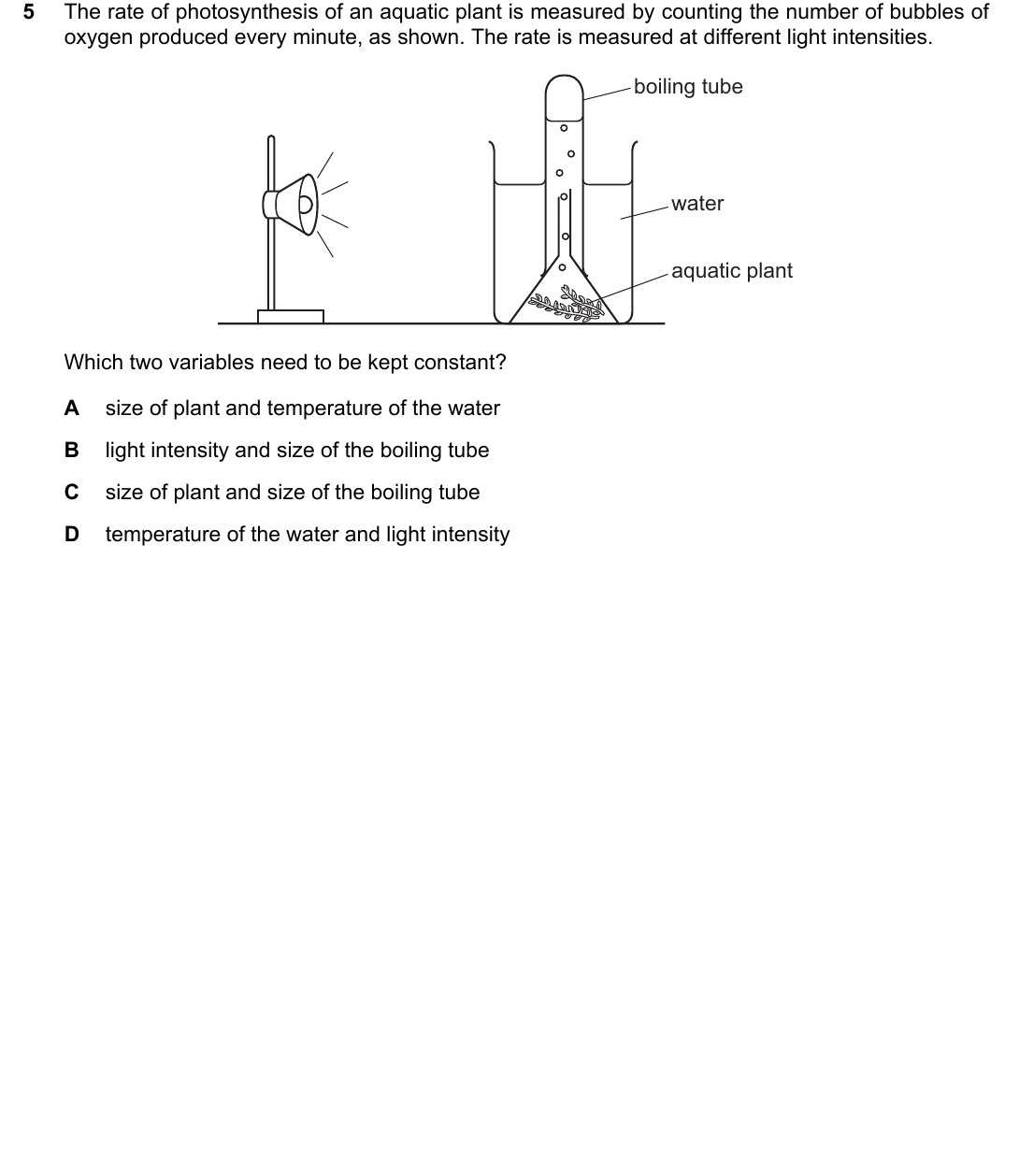 IGCSE 0654 May/June 2024 Paper 11 Question 5 — Photosynthesis
