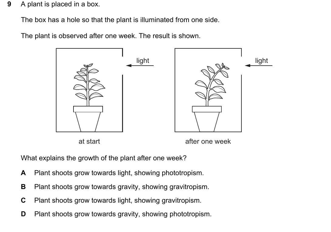 IGCSE 0654 May/June 2024 Paper 11 Question 9 — Plant tropisms