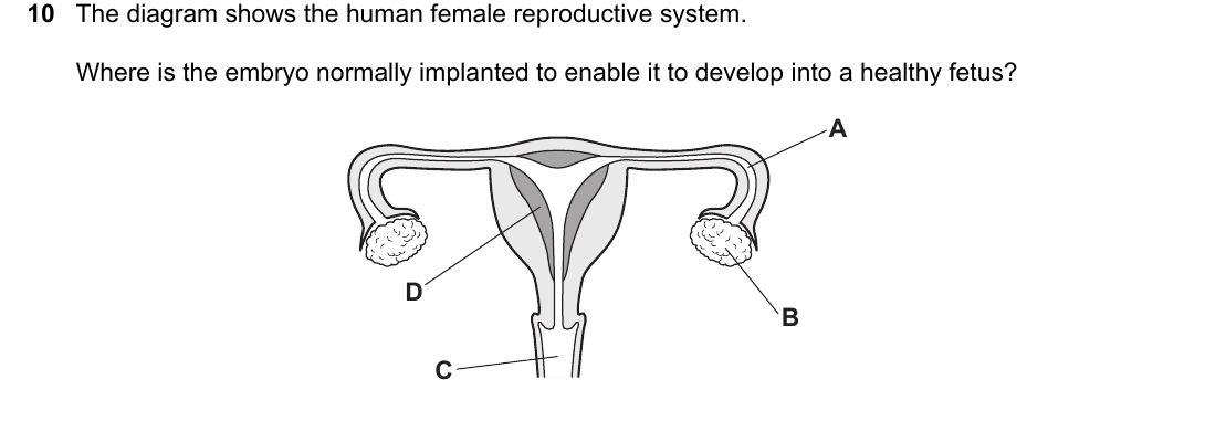 IGCSE 0654 May/June 2024 Paper 12 Question 10 — Human reproduction