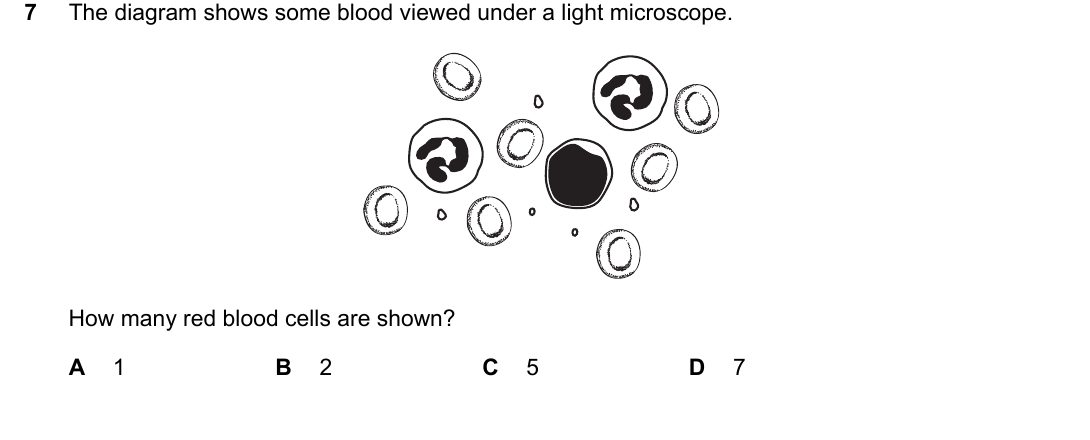 IGCSE 0654 May/June 2024 Paper 13 Question 7 — Blood