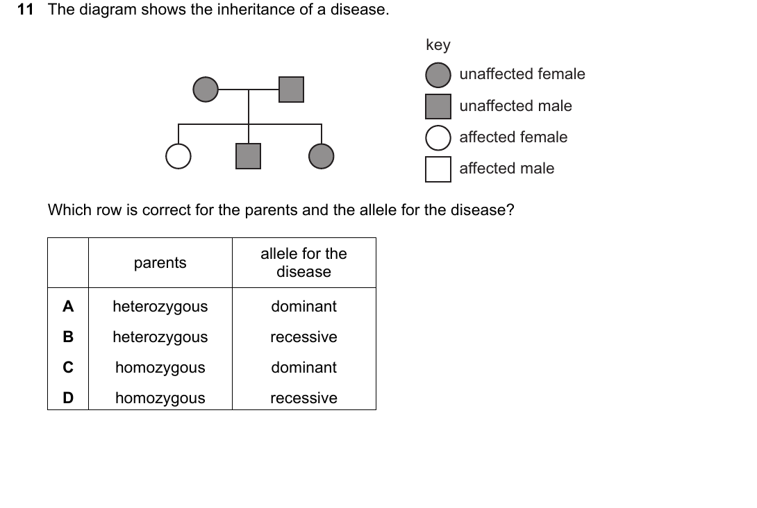 IGCSE 0654 May/June 2024 Paper 21 Question 11 — Monohybrid inheritance