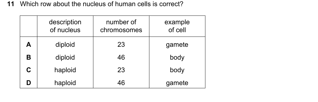 IGCSE 0654 May/June 2024 Paper 22 Question 11 — Mitosis & meiosis