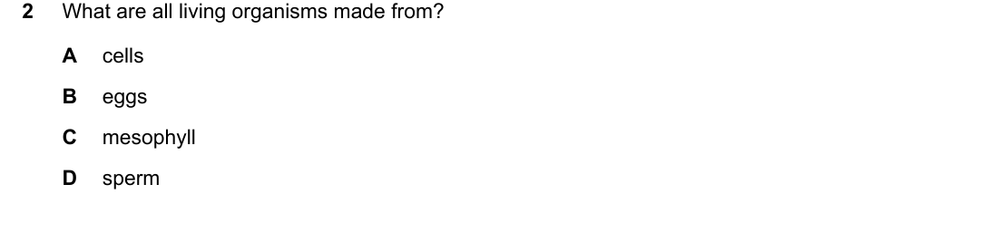 IGCSE 0654 May/June 2024 Paper 22 Question 2 — Leaf structure