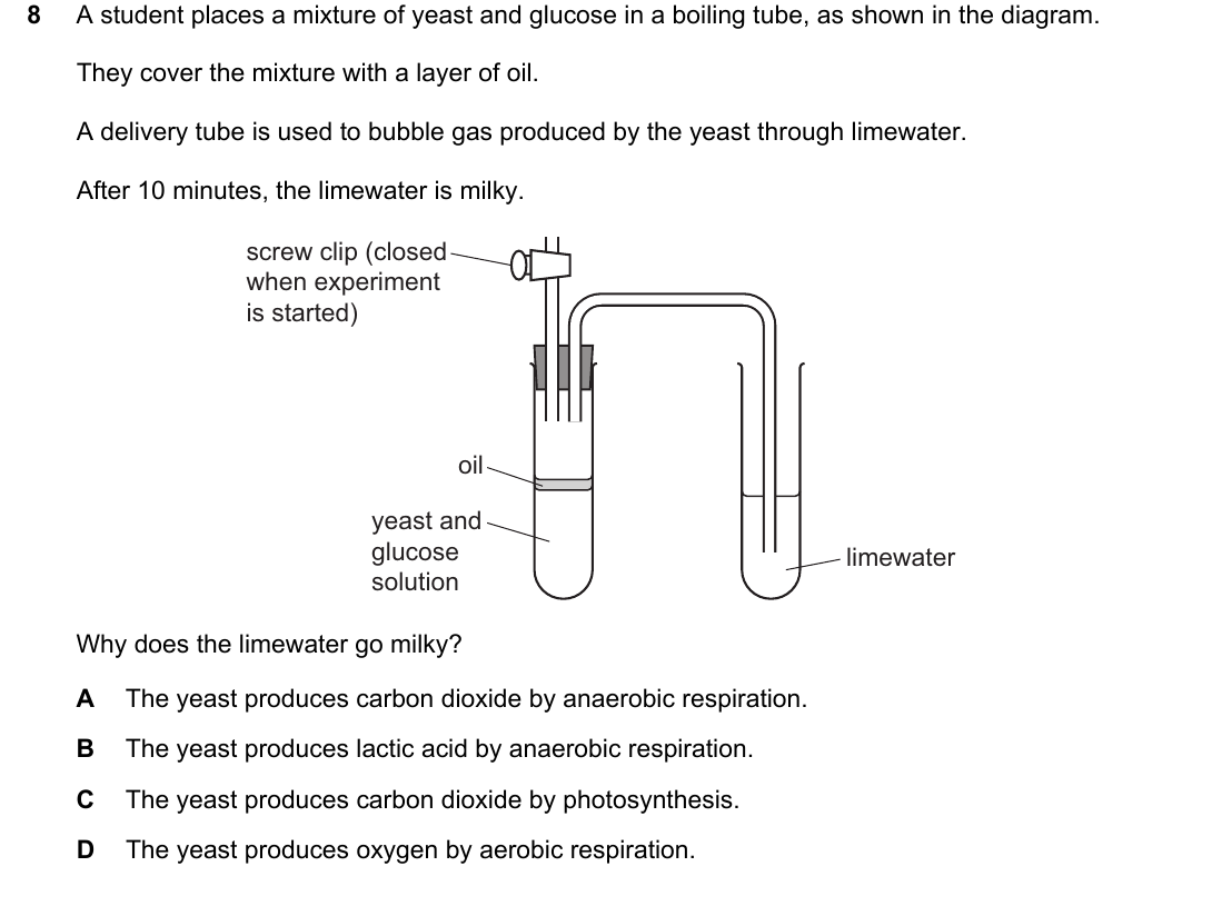IGCSE 0654 May/June 2024 Paper 22 Question 8 — Aerobic & anaerobic respiration