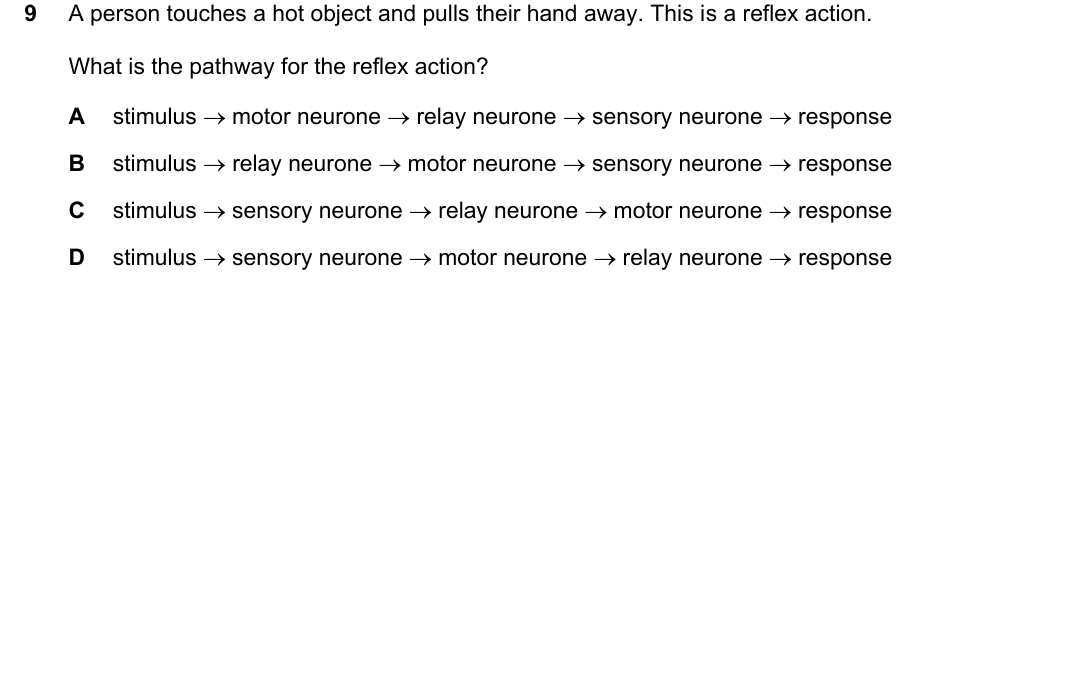 IGCSE 0654 May/June 2024 Paper 22 Question 9 — Nervous system & reflex arc
