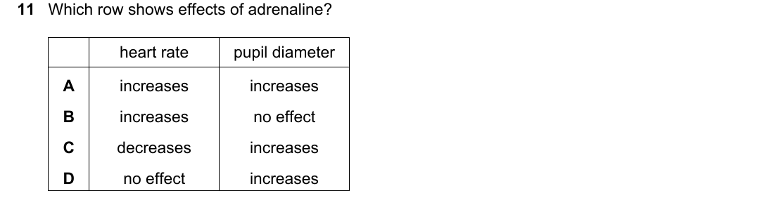 IGCSE 0654 May/June 2025 Paper 11 Question 11 — The eye