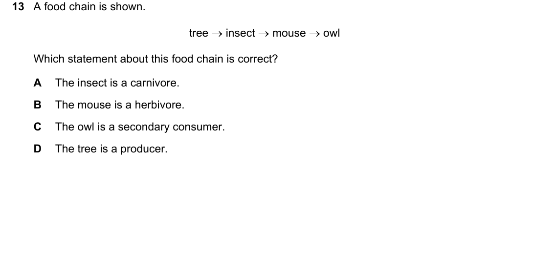IGCSE 0654 May/June 2025 Paper 11 Question 13 — Food chains, webs & energy flow