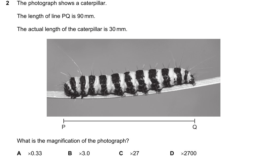 IGCSE 0654 May/June 2025 Paper 11 Question 2 — Magnification & size of specimens