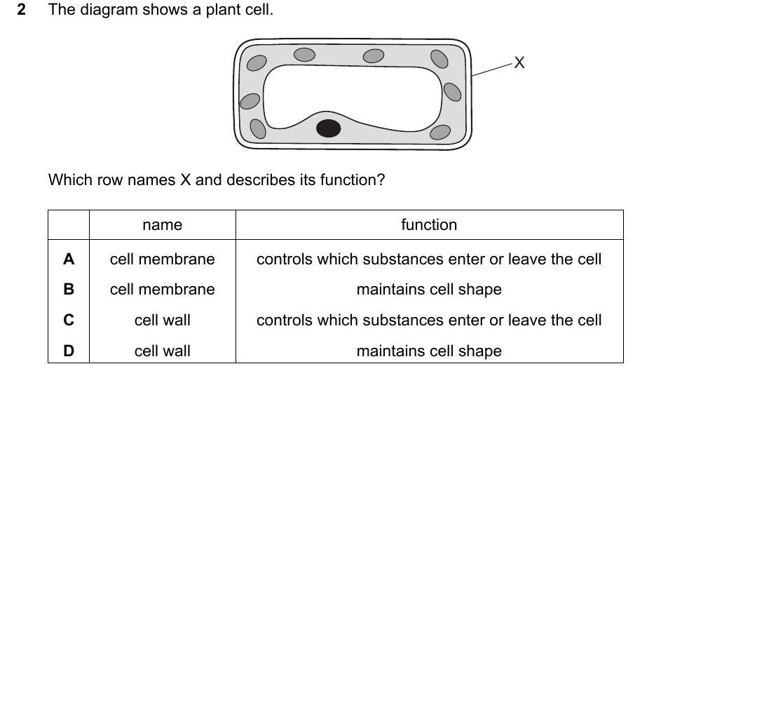 IGCSE 0654 May/June 2025 Paper 12 Question 2 — Animal & plant cell structure