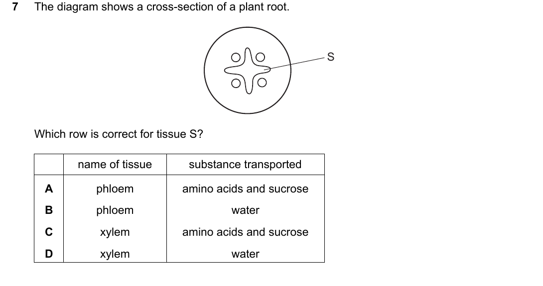 IGCSE 0654 May/June 2025 Paper 12 Question 7 — Carbohydrates, proteins & fats