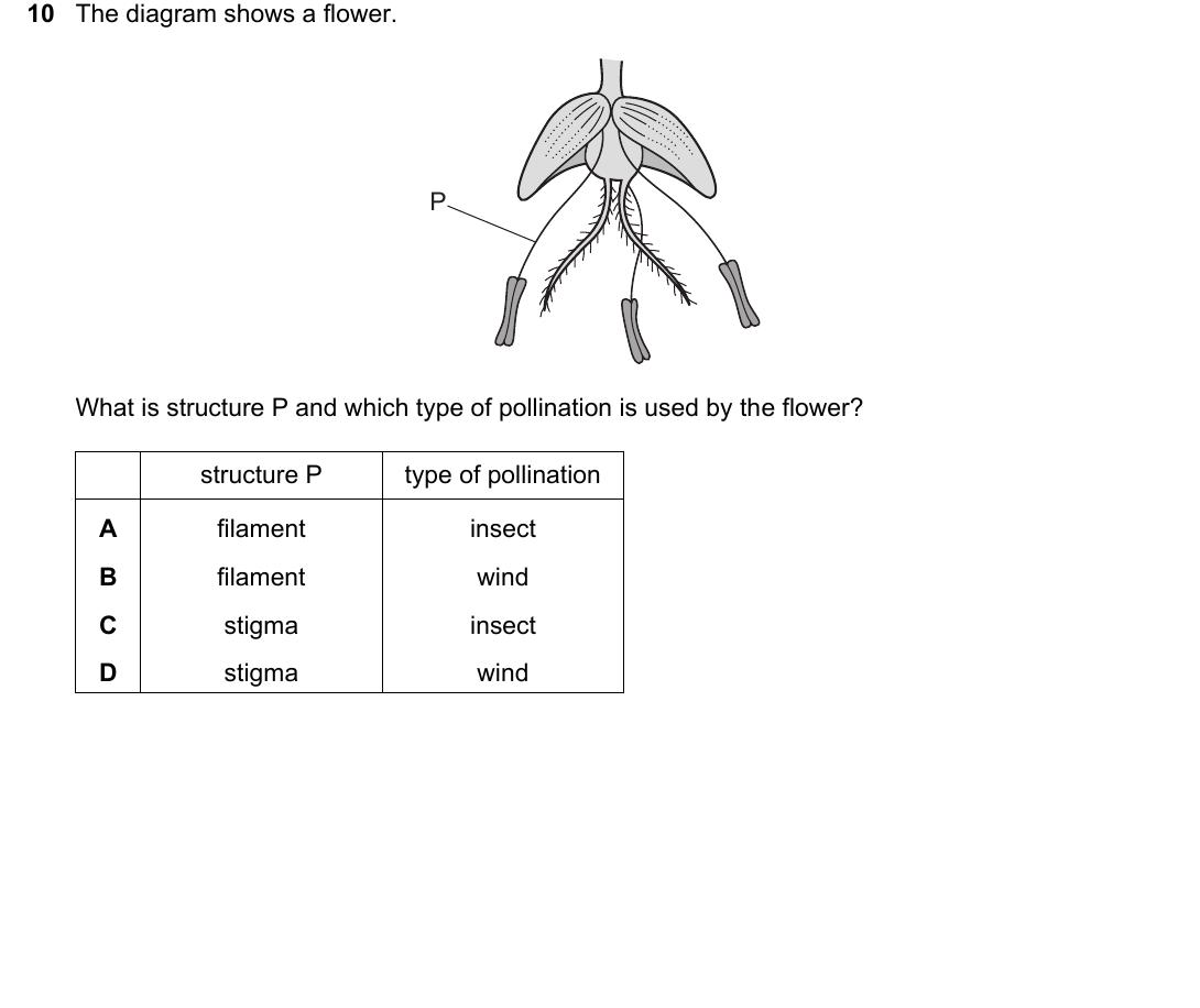 IGCSE 0654 May/June 2025 Paper 21 Question 10 — Reproduction in flowering plants