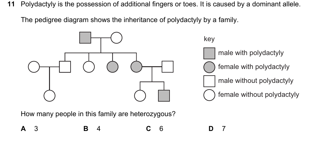 IGCSE 0654 May/June 2025 Paper 21 Question 11 — Monohybrid inheritance