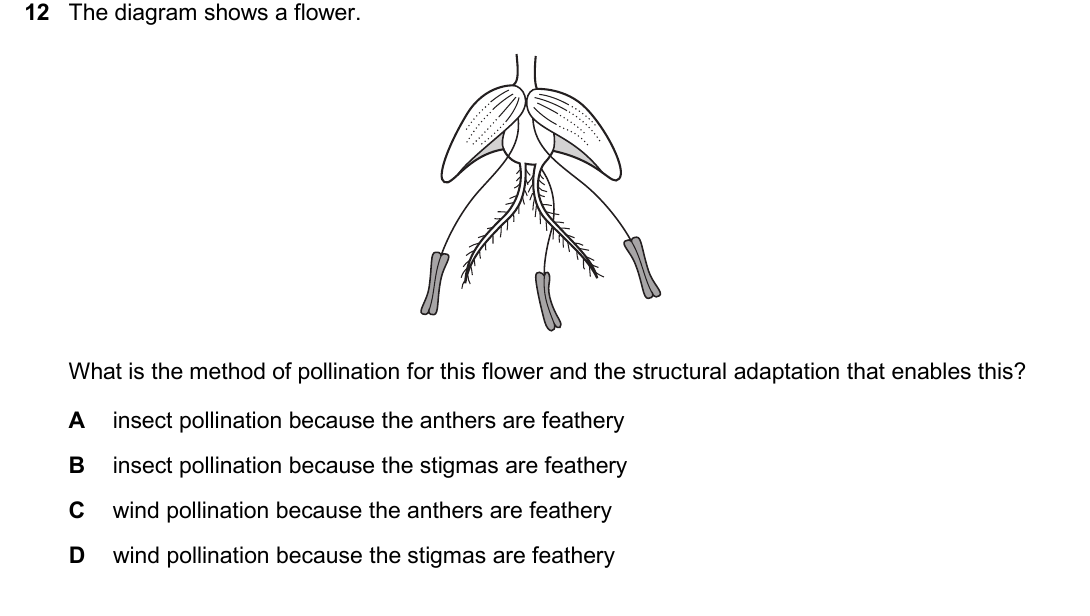 IGCSE 0654 May/June 2025 Paper 22 Question 12 — Reproduction in flowering plants