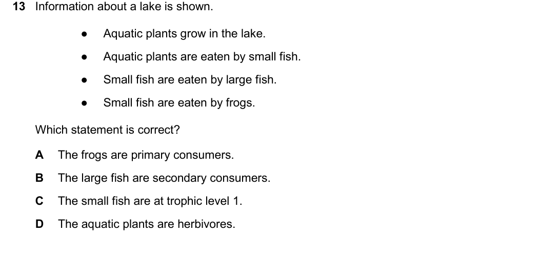 IGCSE 0654 May/June 2025 Paper 22 Question 13 — Photosynthesis