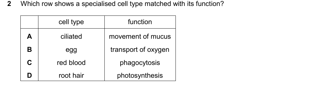 IGCSE 0654 May/June 2025 Paper 22 Question 2 — Specialised cells, tissues & organs