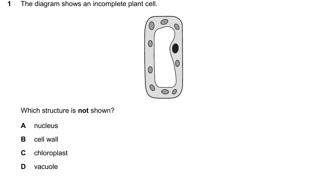 IGCSE 0654 May/June 2025 Paper 23 Question 1 — Animal & plant cell structure