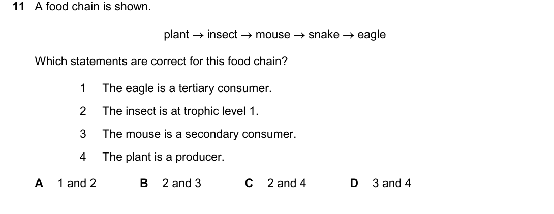 IGCSE 0654 May/June 2025 Paper 23 Question 11 — Food chains, webs & energy flow