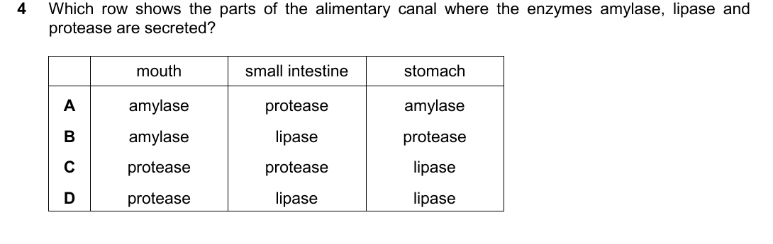 IGCSE 0654 May/June 2025 Paper 23 Question 4 — Digestive system & digestion