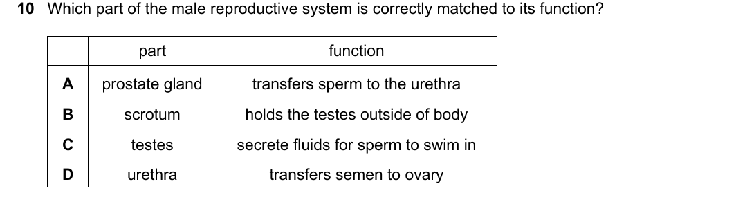 IGCSE 0654 Oct/Nov 2023 Paper 11 Question 10 — Human reproduction