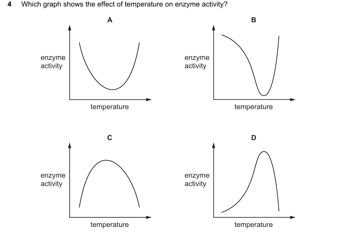 IGCSE 0654 Oct/Nov 2023 Paper 11 Question 4 — Effect of temperature & pH